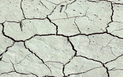 Enquête sur les frères Philippe : des années d’abus en toute impunité 