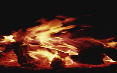 NOUVEAUX CHARLATANS : ON TOUCHE LE FAUX