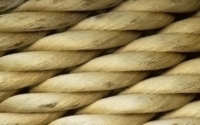 Santé : reconnaître les dérives sectaires… et s’en prémunir
