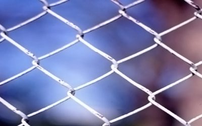 Rapport de la Miviludes repoussé : coup de pression réussi pour les Témoins de Jéhovah ?
