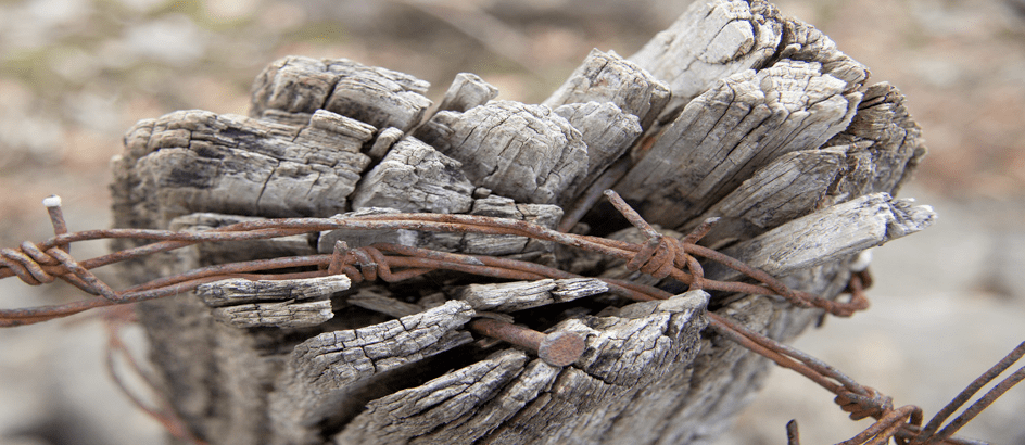 Dérives sectaires dans les Pyrénées-Orientales : Un expert catalan décrypte la stratégie des gourous